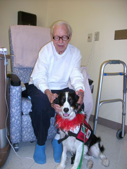 elderly patient with visiting hospital dog