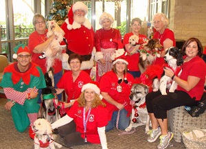 group of volunteers with hospital pets